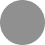 Startship silver